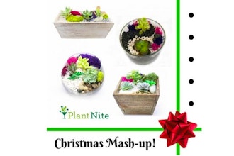 Plant Nite: Mash-up, Christmas Edition!